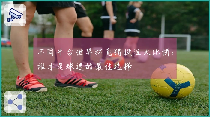 不同平台世界杯竞猜投注大比拼，谁才是球迷的最佳选择