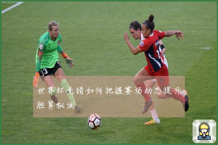 世界杯竞猜如何把握赛场动态提升胜算秘诀