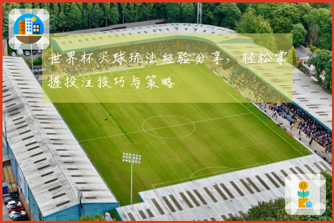 世界杯买球玩法经验分享，轻松掌握投注技巧与策略