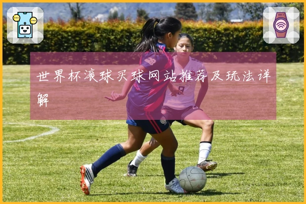 世界杯滚球买球网站推荐及玩法详解