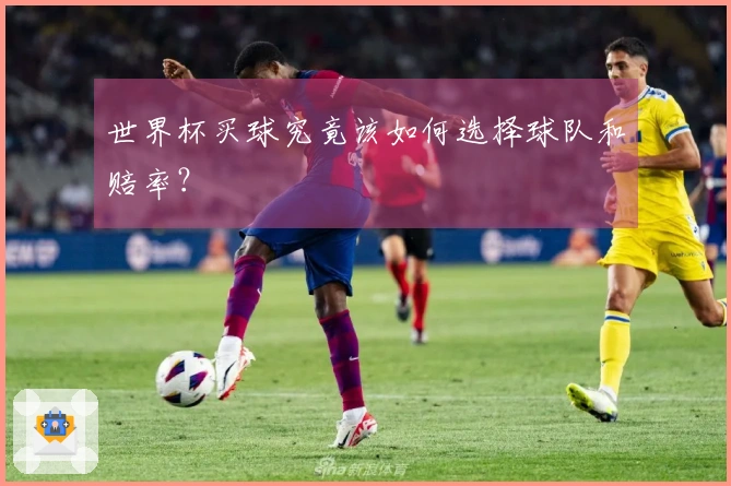 世界杯买球究竟该如何选择球队和赔率？