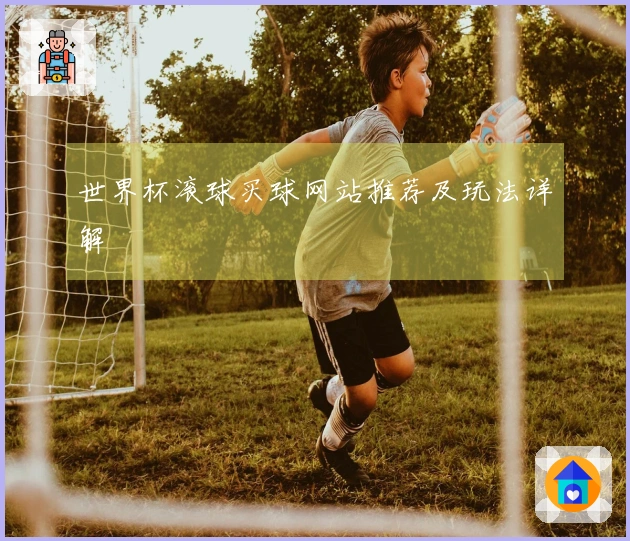 世界杯滚球买球网站推荐及玩法详解