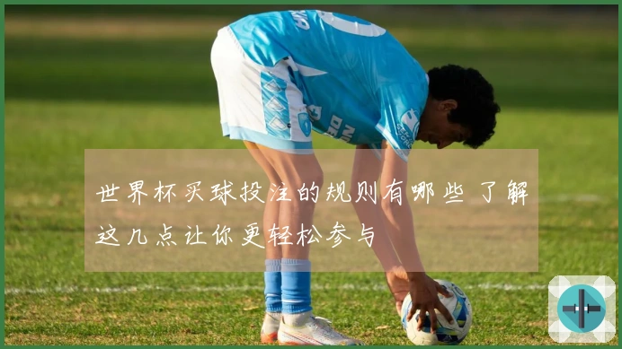 世界杯买球投注的规则有哪些 了解这几点让你更轻松参与