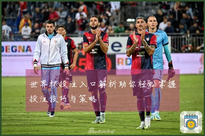 世界杯投注入口解析助你轻松掌握投注技巧与策略
