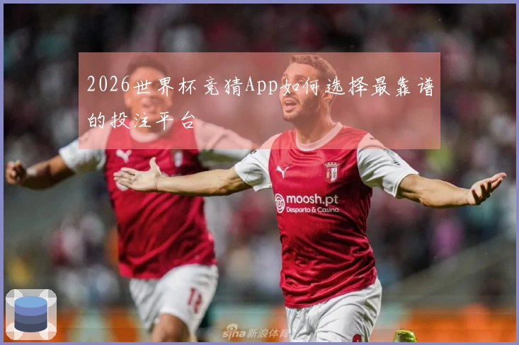 2026世界杯竞猜App如何选择最靠谱的投注平台