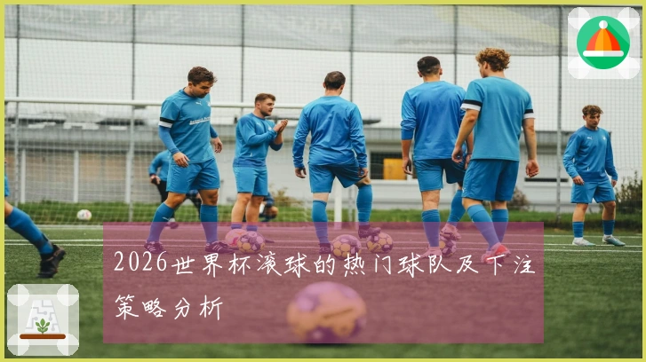 2026世界杯滚球的热门球队及下注策略分析