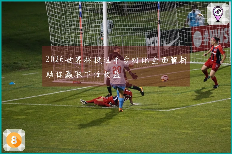2026世界杯投注平台对比全面解析助你赢取下注收益