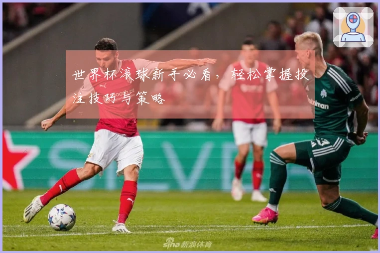 世界杯滚球新手必看，轻松掌握投注技巧与策略