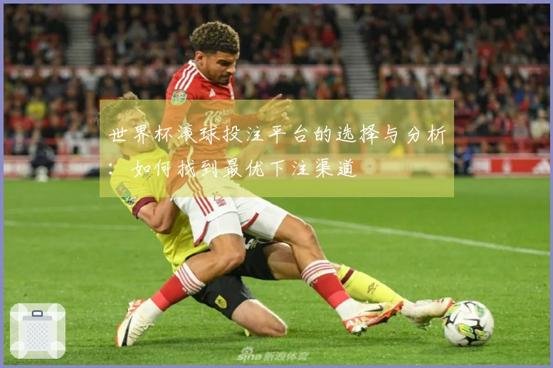 世界杯滚球投注平台的选择与分析：如何找到最优下注渠道