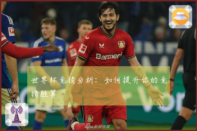 世界杯竞猜分析：如何提升你的竞猜胜算