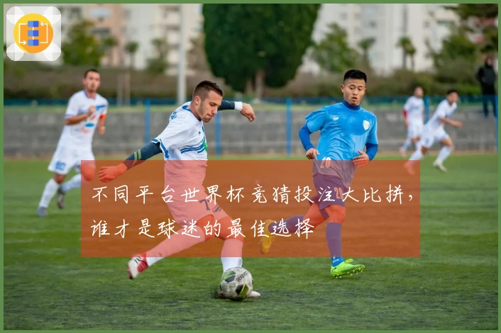 不同平台世界杯竞猜投注大比拼，谁才是球迷的最佳选择