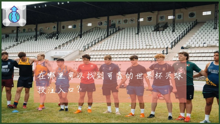 在哪里可以找到可靠的世界杯买球投注入口？