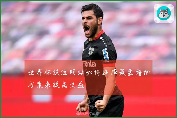 世界杯投注网站如何选择最靠谱的方案来提高收益