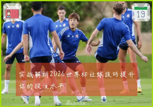 实战解析2026世界杯让球技巧提升你的投注水平