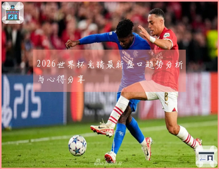 2026世界杯竞猜最新盘口趋势分析与心得分享