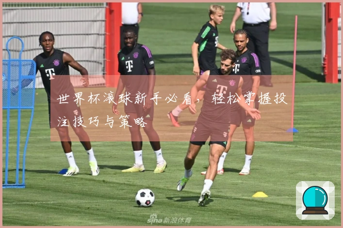 世界杯滚球新手必看，轻松掌握投注技巧与策略